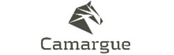 Camargue financial providers